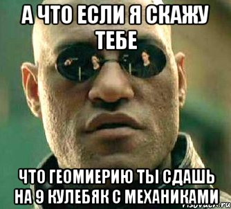 а что если я скажу тебе что геомиерию ты сдашь на 9 кулебяк с механиками, Мем  а что если я скажу тебе