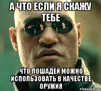 а что если я скажу тебе что лошадей можно использовать в качестве оружия, Мем  а что если я скажу тебе