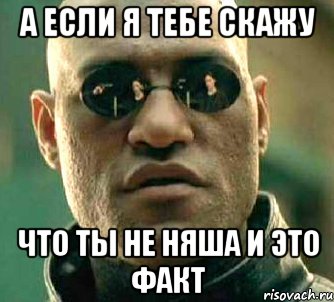 а если я тебе скажу что ты не няша и это факт, Мем  а что если я скажу тебе