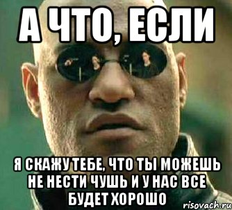 а что, если я скажу тебе, что ты можешь не нести чушь и у нас все будет хорошо, Мем  а что если я скажу тебе