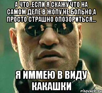 а что ,если я скажу что на самом деле в жопу не больно,а просто страшно опозориться... я иммею в виду какашки, Мем  а что если я скажу тебе