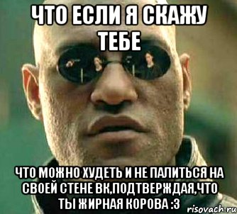 что если я скажу тебе что можно худеть и не палиться на своей стене вк,подтверждая,что ты жирная корова :3