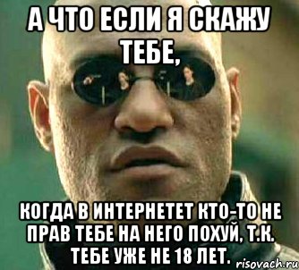 а что если я скажу тебе, когда в интернетет кто-то не прав тебе на него похуй, т.к. тебе уже не 18 лет., Мем  а что если я скажу тебе