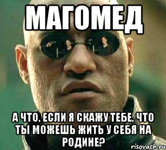 магомед а что, если я скажу тебе, что ты можешь жить у себя на родине?, Мем  а что если я скажу тебе