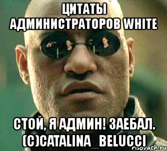 цитаты администраторов white стой, я админ! заебал. (с)catalina_belucci, Мем  а что если я скажу тебе