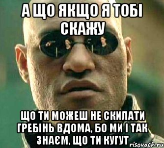 а що якщо я тобі скажу що ти можеш не скилати гребінь вдома, бо ми і так знаєм, що ти кугут, Мем  а что если я скажу тебе