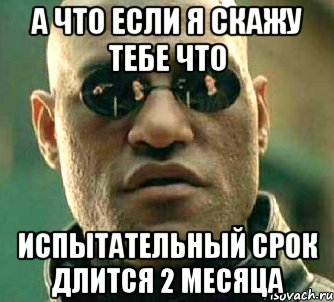 а что если я скажу тебе что испытательный срок длится 2 месяца, Мем  а что если я скажу тебе