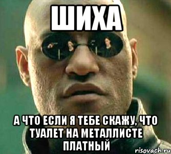 шиха а что если я тебе скажу, что туалет на металлисте платный, Мем  а что если я скажу тебе