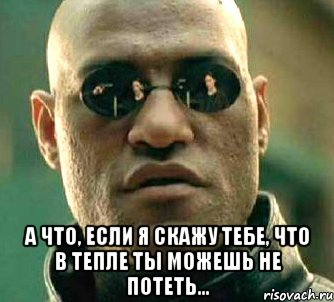  а что, если я скажу тебе, что в тепле ты можешь не потеть..., Мем  а что если я скажу тебе