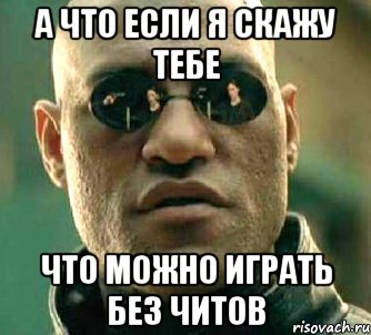 а что если я скажу тебе что можно играть без читов, Мем  а что если я скажу тебе