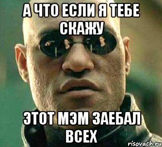 а что если я тебе скажу этот мэм заебал всех, Мем  а что если я скажу тебе