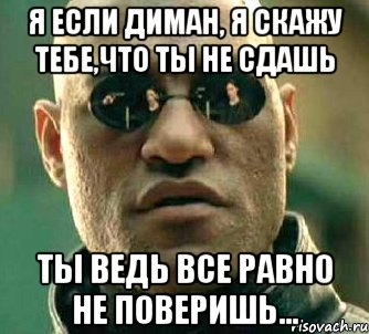 я если диман, я скажу тебе,что ты не сдашь ты ведь все равно не поверишь..., Мем  а что если я скажу тебе