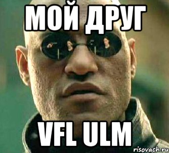 мой друг vfl ulm, Мем  а что если я скажу тебе