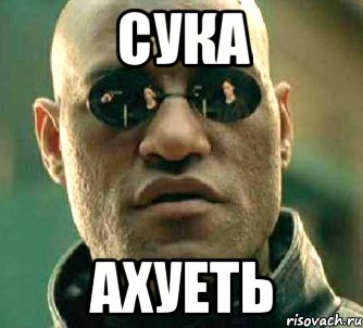 сука ахуеть, Мем  а что если я скажу тебе