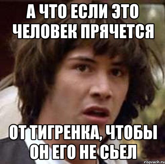 а что если это человек прячется от тигренка, чтобы он его не сьел, Мем А что если (Киану Ривз)