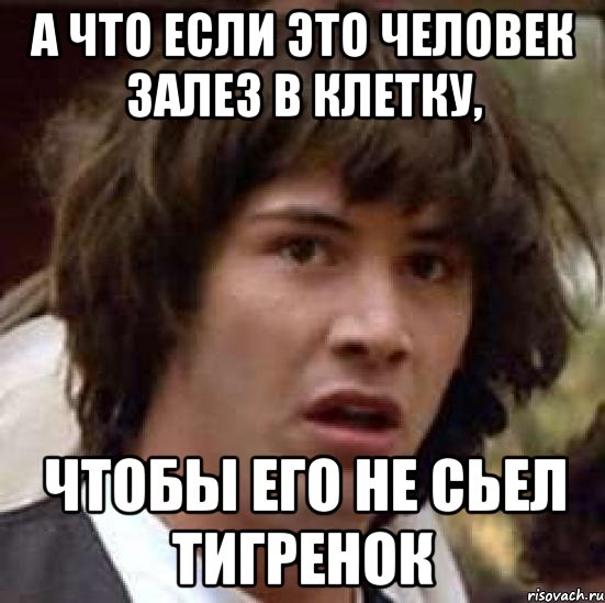 а что если это человек залез в клетку, чтобы его не сьел тигренок, Мем А что если (Киану Ривз)