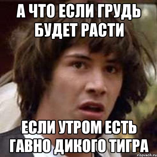 а что если грудь будет расти если утром есть гавно дикого тигра, Мем А что если (Киану Ривз)