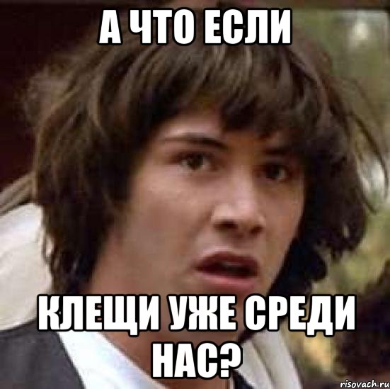 а что если клещи уже среди нас?, Мем А что если (Киану Ривз)