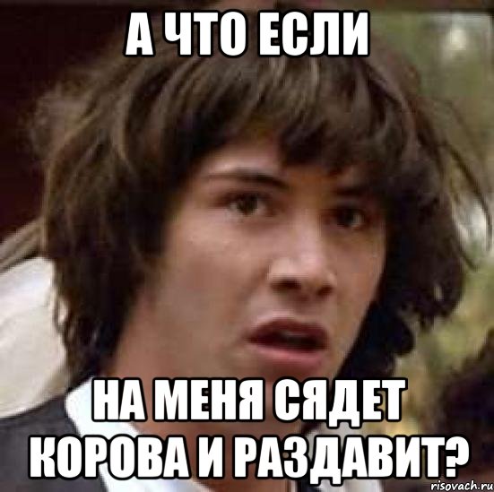 а что если на меня сядет корова и раздавит?, Мем А что если (Киану Ривз)