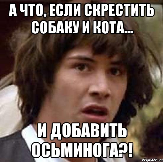 а что, если скрестить собаку и кота... и добавить осьминога?!, Мем А что если (Киану Ривз)