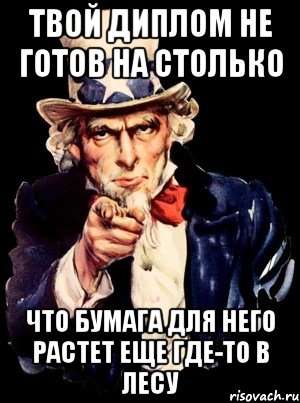 твой диплом не готов на столько что бумага для него растет еще где-то в лесу