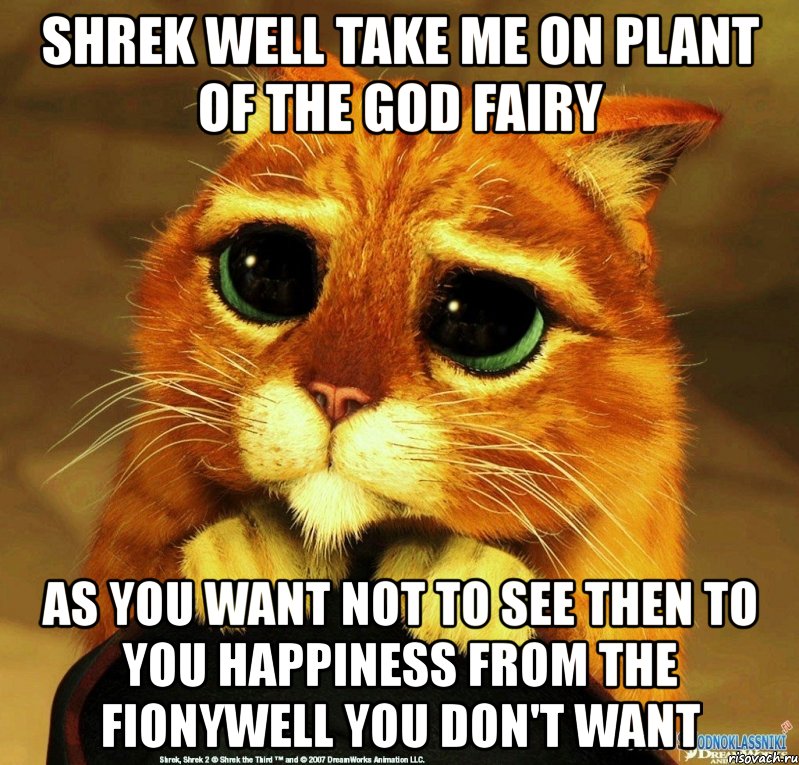 shrek well take me on plant of the god fairy as you want not to see then to you happiness from the fionywell you don't want