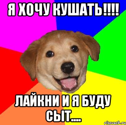 я хочу кушать!!! лайкни и я буду сыт...., Мем Advice Dog