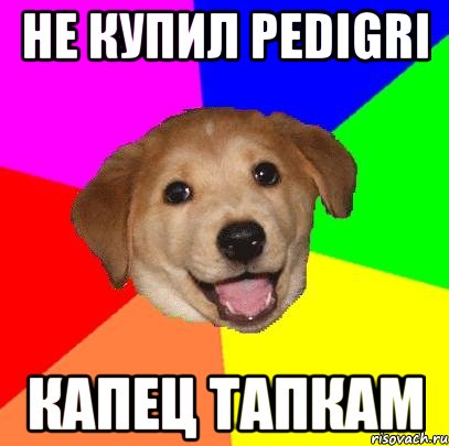 не купил pedigri капец тапкам