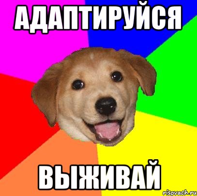 адаптируйся выживай, Мем Advice Dog