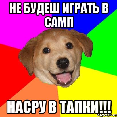 не будеш играть в самп насру в тапки!!!, Мем Advice Dog