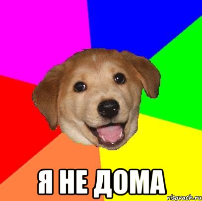  я не дома, Мем Advice Dog