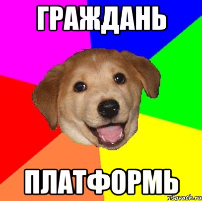 граждань платформь, Мем Advice Dog