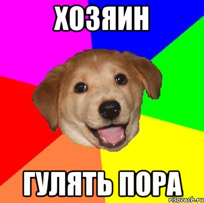 хозяин гулять пора, Мем Advice Dog