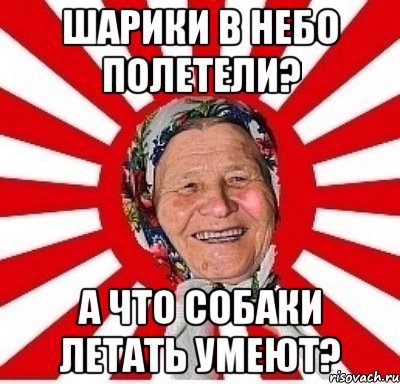 шарики в небо полетели? а что собаки летать умеют?