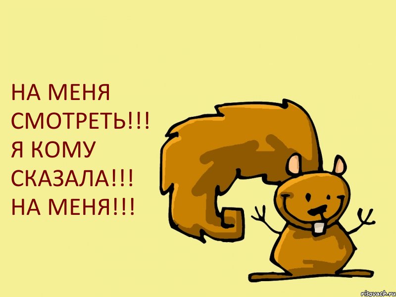 НА МЕНЯ СМОТРЕТЬ!!! Я КОМУ СКАЗАЛА!!! НА МЕНЯ!!!