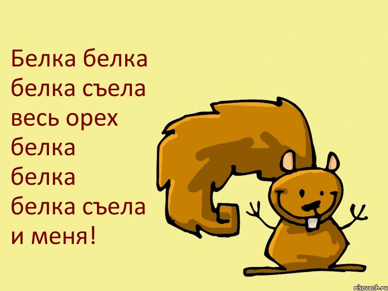 Белка белка белка съела весь орех белка белка белка съела и меня!