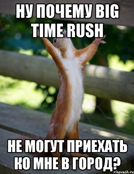 ну почему big time rush не могут приехать ко мне в город?, Мем    белка молится