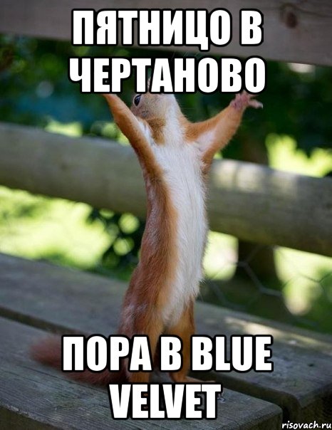 пятницо в чертаново пора в blue velvet