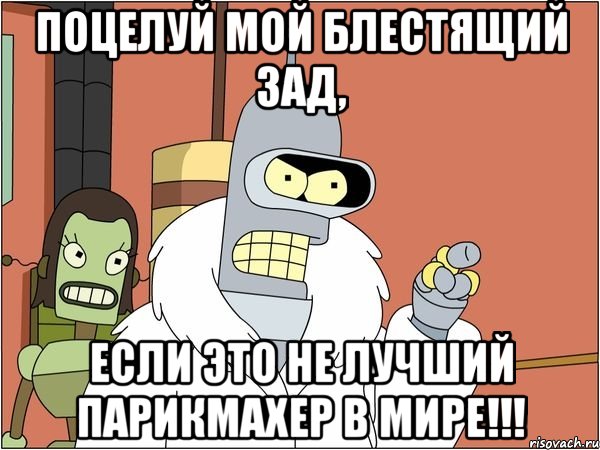 поцелуй мой блестящий зад, если это не лучший парикмахер в мире!!!, Мем Бендер