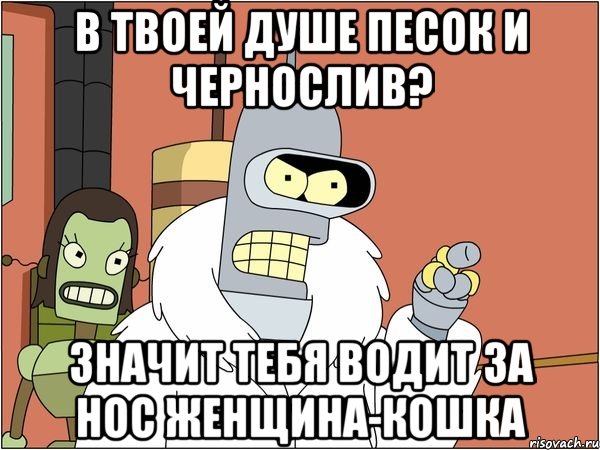 в твоей душе песок и чернослив? значит тебя водит за нос женщина-кошка, Мем Бендер