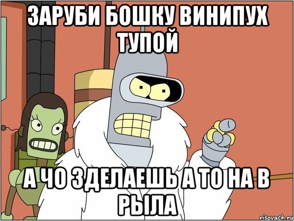 заруби бошку винипух тупой а чо зделаешь а то на в рыла, Мем Бендер