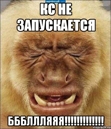 кс не запускается бббллляяя!!!