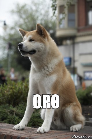 рлр оро