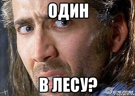 один в лесу?, Мем Cage