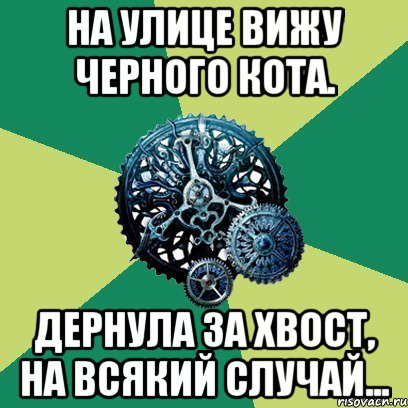 на улице вижу черного кота. дернула за хвост, на всякий случай..., Мем Часодеи