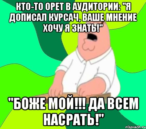 кто-то орет в аудитории: "я дописал курсач, ваше мнение хочу я знать!" "боже мой!!! да всем насрать!", Мем  Да всем насрать (Гриффин)