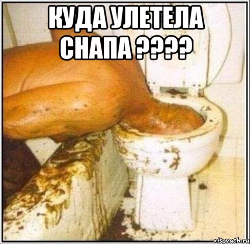 куда улетела снапа ??? , Мем Дайвер