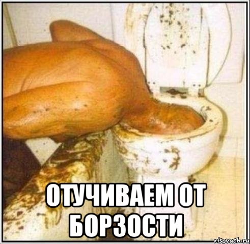  отучиваем от борзости, Мем Дайвер