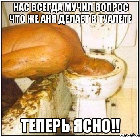 нас всегда мучил вопрос что же аня делает в туалете теперь ясно!!, Мем Дайвер