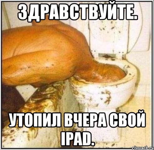 здравствуйте. утопил вчера свой ipad., Мем Дайвер